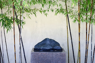 A Suiseki at the National Arboretum