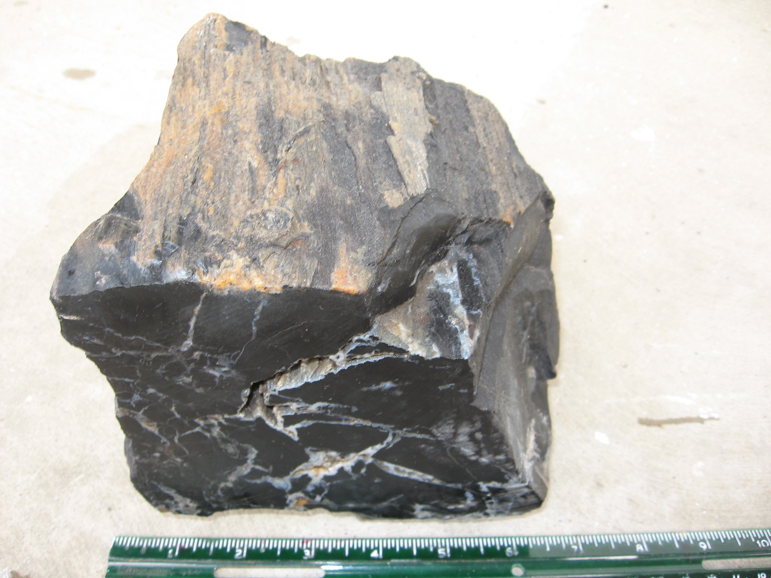 Petrified Wood from slabs, specimens to bookends.