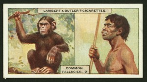 Ape and man